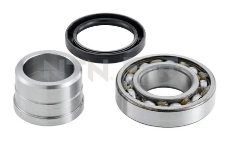 Kit de rolamentos de roda SNR R177.23