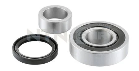 Kit de rolamentos de roda SNR R179.22