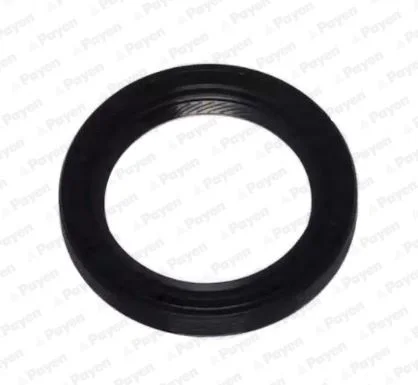 Shaft Seal, crankshaft PAYEN NA5306