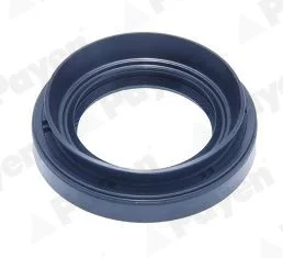 Shaft Seal, differential PAYEN NJ452