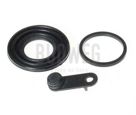 Seal, brake caliper piston BUDWEG CALIPER 189908