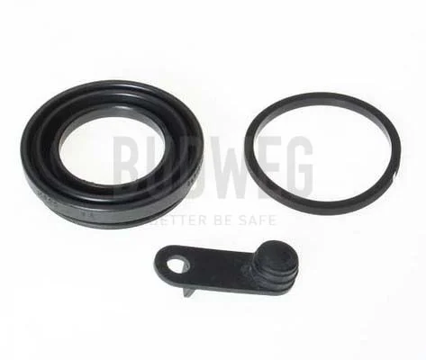 Seal, brake caliper piston BUDWEG CALIPER 189933