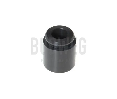 Pistão, pinça de travão BUDWEG CALIPER 232801