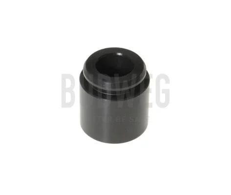Piston, brake caliper BUDWEG CALIPER 233023