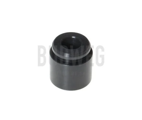 Pistão, pinça de travão BUDWEG CALIPER 233028
