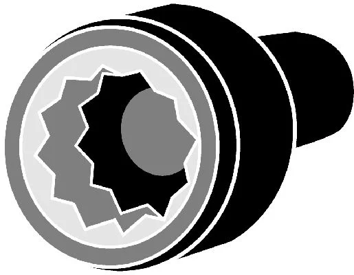 Cylinder Head Bolt Set CORTECO 016769B
