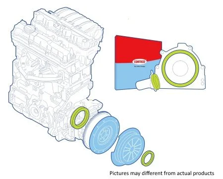 Shaft Seal Set, clutch corteco 19135321