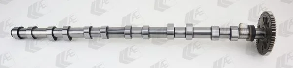 566 AE CAM1016
