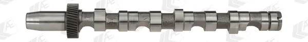 Cambota AE CAM701