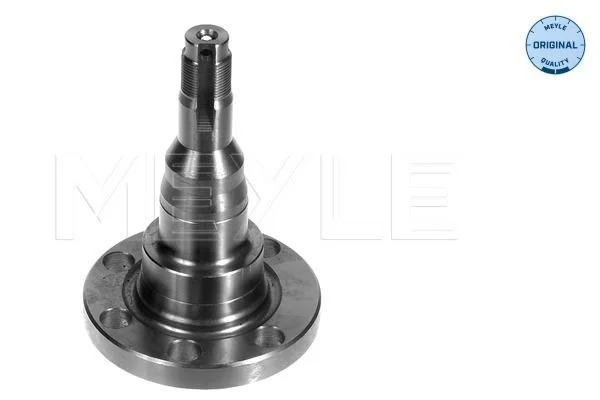 Stub Axle, axle beam MEYLE 100 501 1010