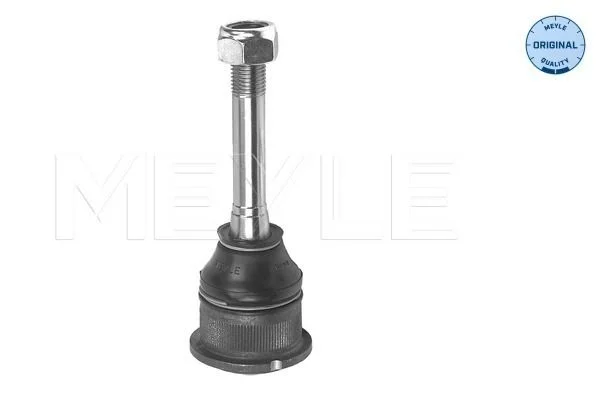 2462 MEYLE 316 010 4306