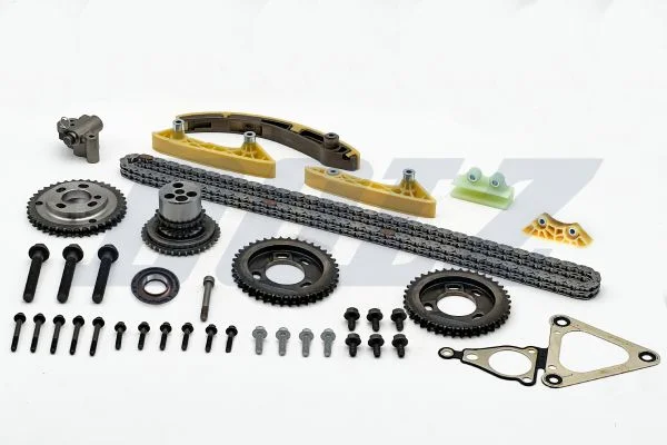 Kit de corrente de distribuição DOLZ SKCF161