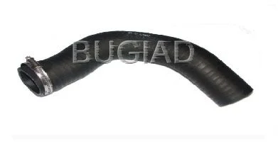 Mangueira de ar de carga BUGIAD 81640