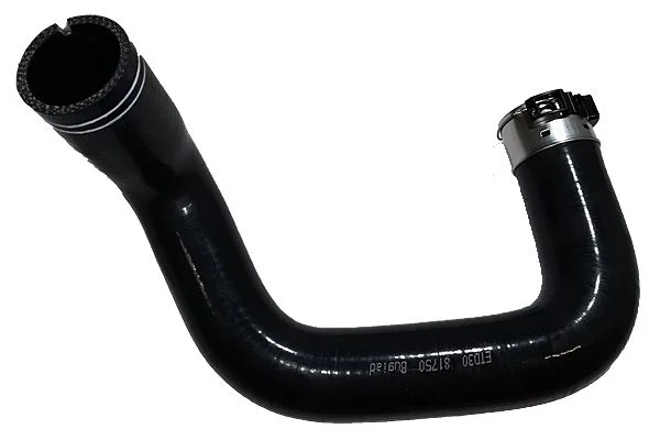 Mangueira de ar de carga BUGIAD 81750