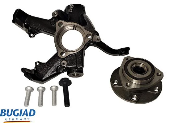 Steering Knuckle, wheel suspension BUGIAD BSP25130PROKIT