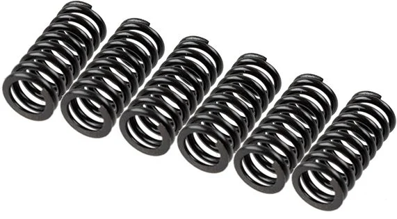 Clutch Spring Set TRW MEF154-6