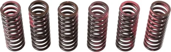 Clutch Spring Set TRW MEF307-6