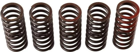 Clutch Spring Set TRW MEF310-5