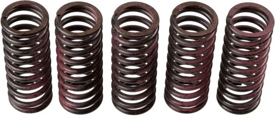 Clutch Spring Set TRW MEF312-5