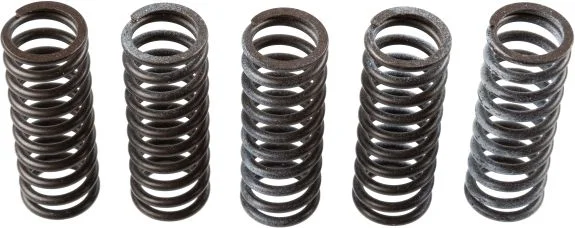 Clutch Spring Set TRW MEF314-5