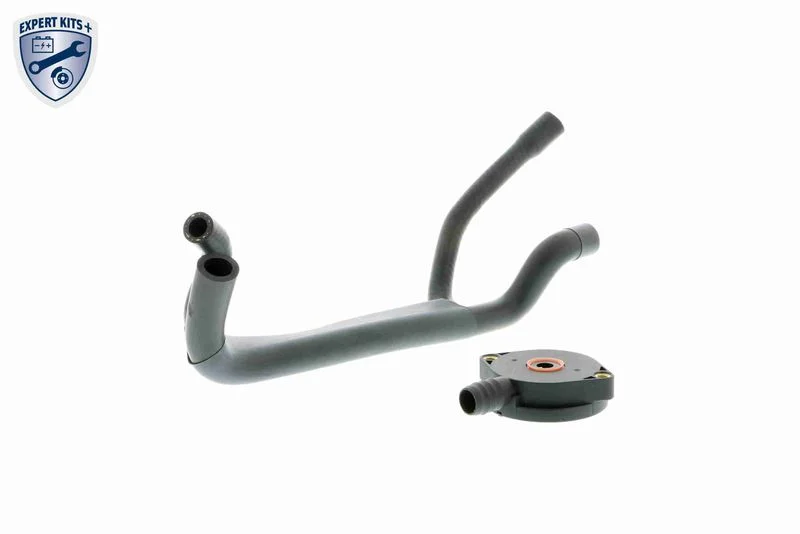 Kit de Reparo, ventilação do cárter VAICO V20-1920