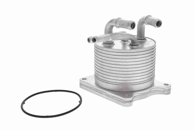 Arrefecedor de Óleo, transmissão automática VEMO V33-60-0012