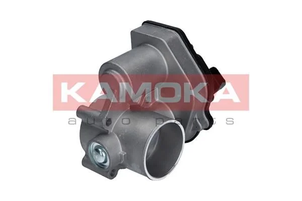 Corpo do acelerador KAMOKA 112024