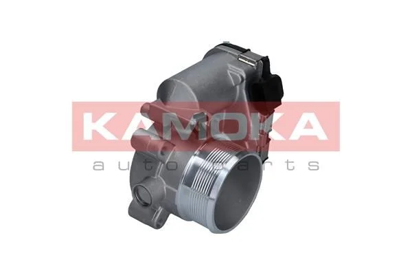 Throttle Body KAMOKA 112025
