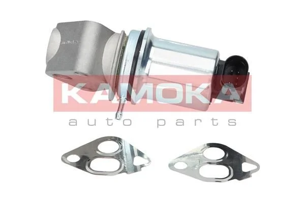 EGR Valve KAMOKA 19006