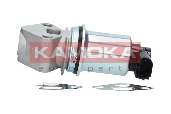 EGR Valve KAMOKA 19017