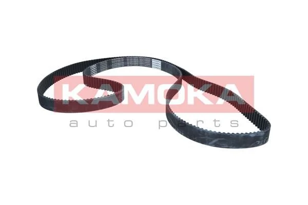 Correia Dentada KAMOKA 7000032