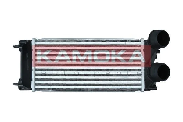Intercooler KAMOKA 7750036