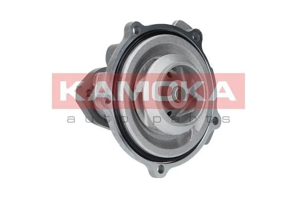 Bomba de água, arrefecimento do motor KAMOKA T0038