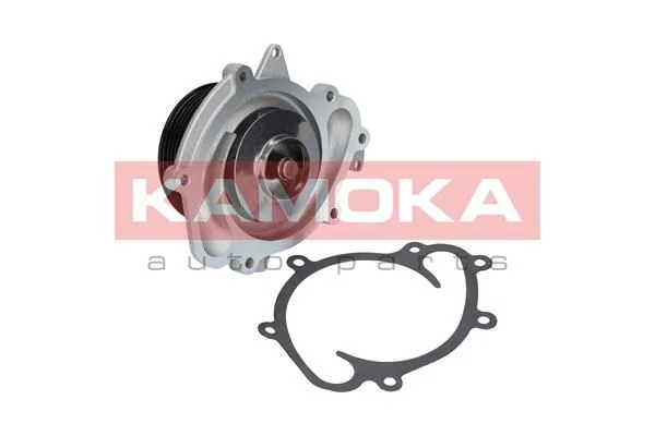 Bomba de água, arrefecimento do motor KAMOKA T0073