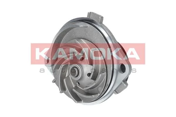 Bomba de água, arrefecimento do motor KAMOKA T0111