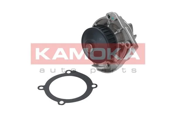 Bomba de água, arrefecimento do motor KAMOKA T0118