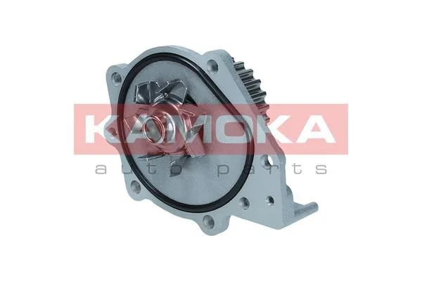 Bomba de água, arrefecimento do motor KAMOKA T0174