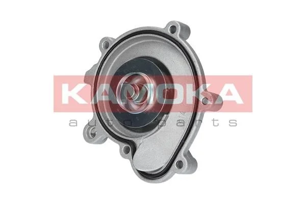 Bomba de água, arrefecimento do motor KAMOKA T0194