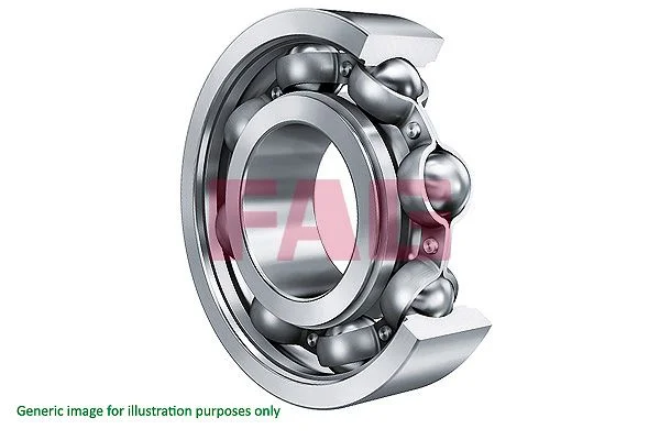 Bearing FAG 6006