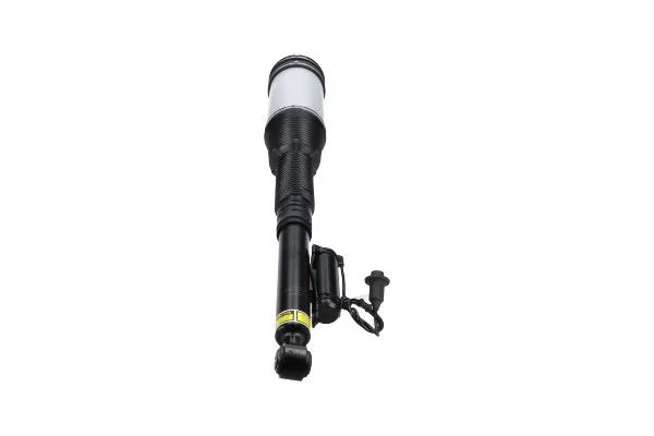 Coluna de Suspensão a Ar Kavo Parts SAS-10030