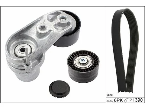 V-ribbed Belt Set INA 529021010