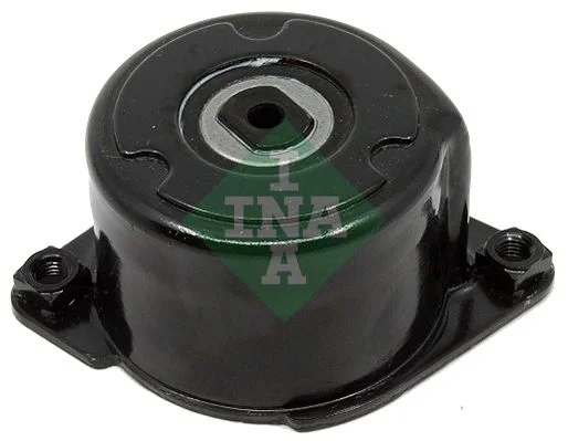541 INA 534017010
