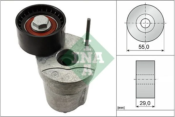 Conjunto de correias em V INA 534032010