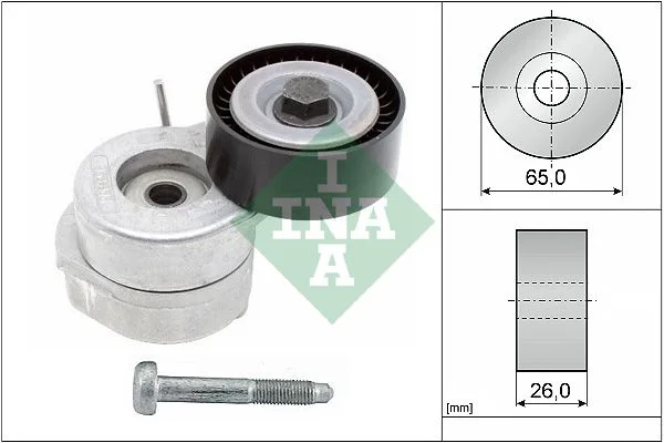 541 INA 534 0607 10