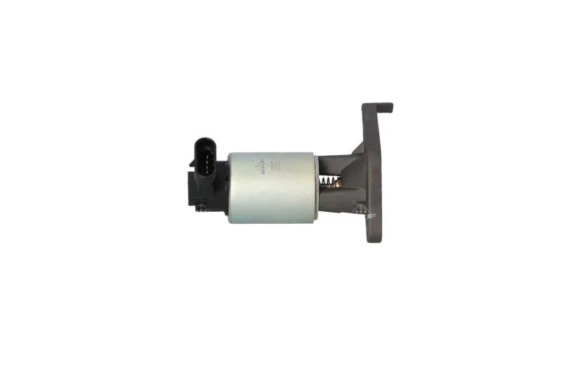 Válvula EGR NRF 48343