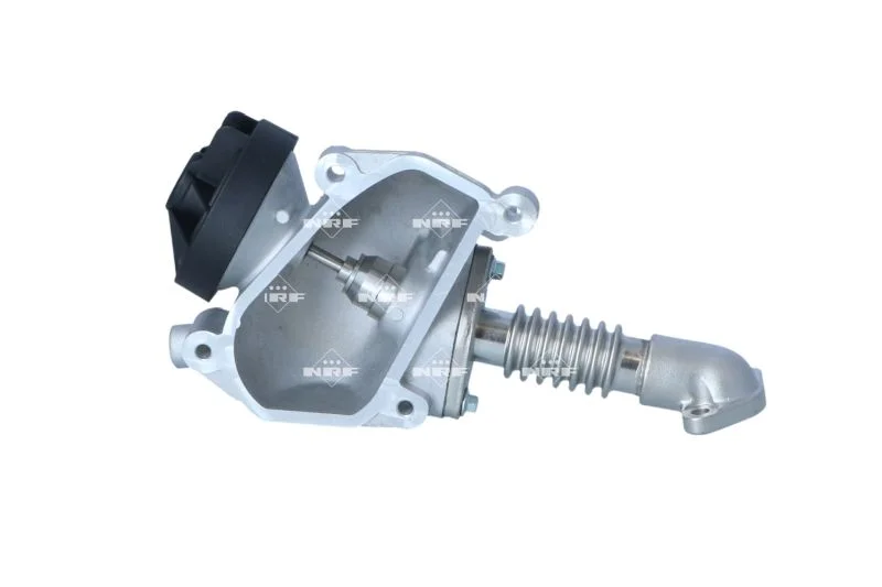 Válvula EGR NRF 48635