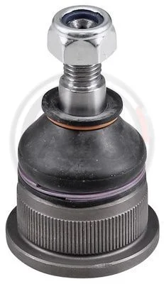 2462 A.B.S. 220025