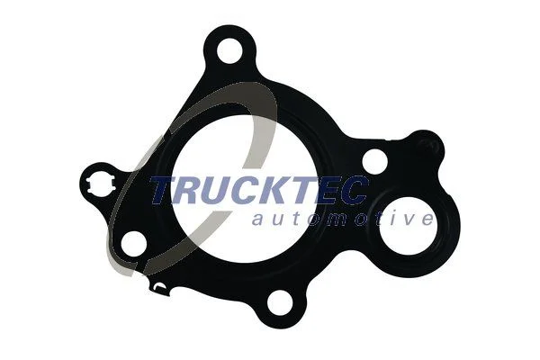 Gasket, EGR valve TRUCKTEC AUTOMOTIVE 02.16.078