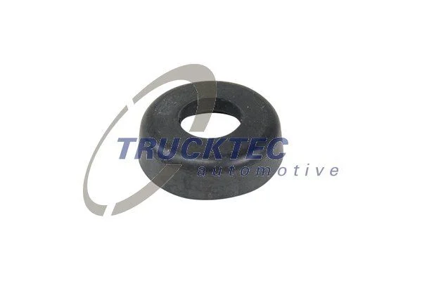 Anel de Vedação, parafuso da tampa da cabeça do cilindro TRUCKTEC AUTOMOTIVE 07.10.014