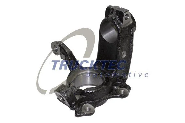 Steering Knuckle, wheel suspension TRUCKTEC AUTOMOTIVE 07.31.290